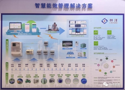 共襄盛会谋发展，林洋助力仪器仪表行业创新升级